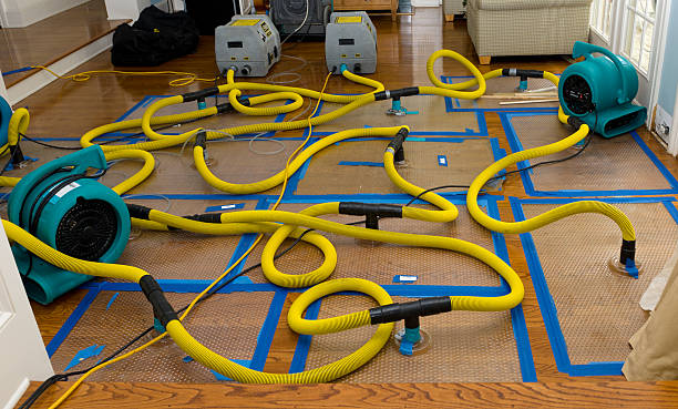 Professional Storm Water Damage Restoration technician working in Rocky Mount, NC